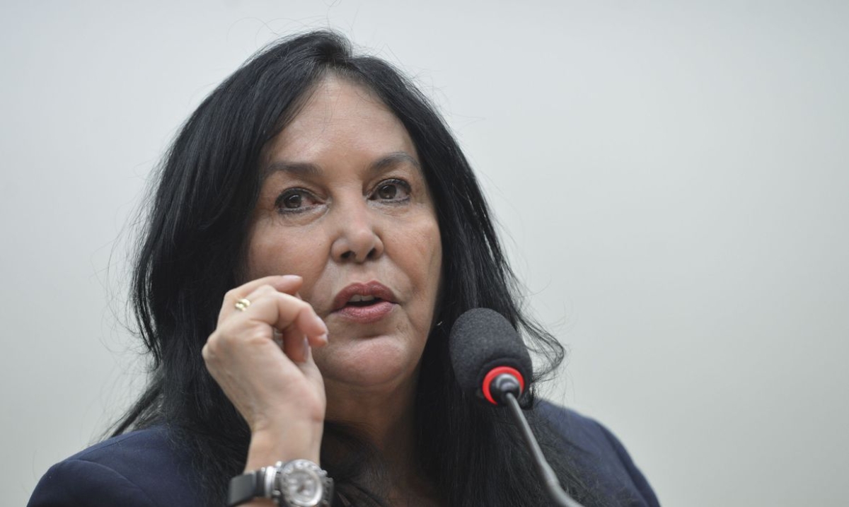 Senadora Rose de Freitas (Foto: Fabio Rodrigues Pozzebom/ Agência Brasil)
