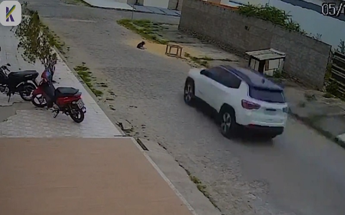 Kitty Lima pede prisão de acusado por atropelamento de Itabaiana: "Nova lei precisa ser cumprida" (Foto: Divulgação Ascom)