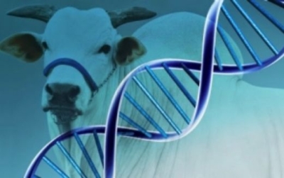 Com emenda de Laércio Oliveira, Sergipe ganha um centro de biotecnologia de reprodução animal (Imagem: Site Laércio Oliveira)