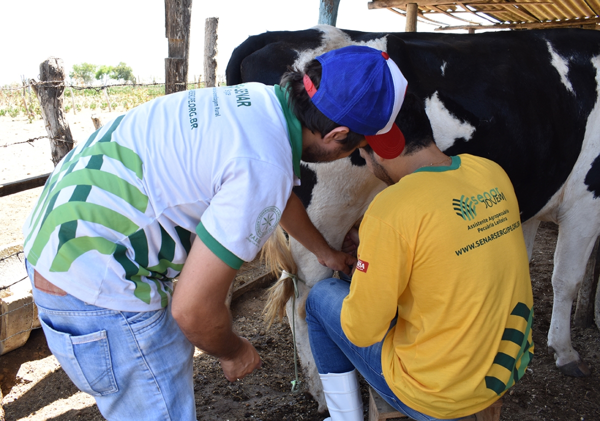 �?ltimos dias para inscrições no curso Senar Jovem em Glória (Foto: Senar Sergipe)