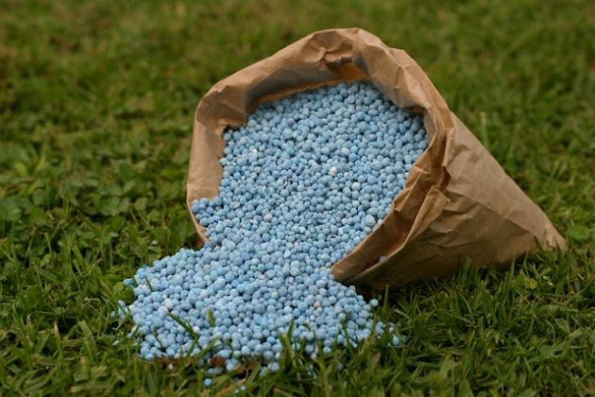 Sergipe propõe a criação de uma alíquota isonômica de ICMS (Foto: Sistema Faep)