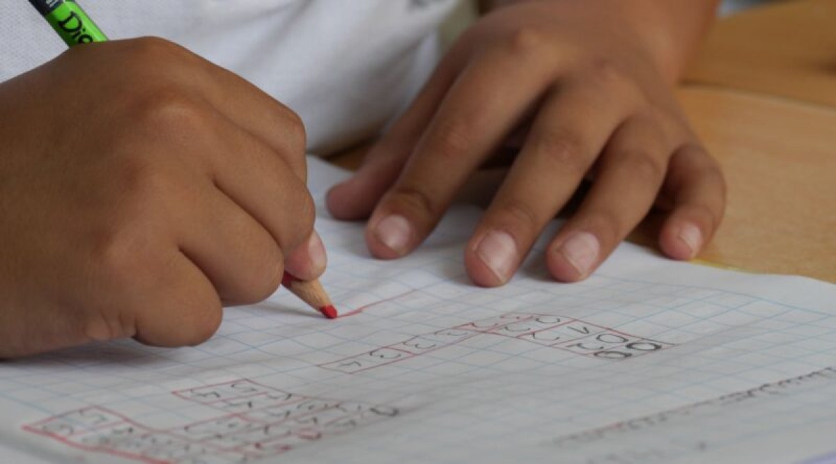 Lei que obriga psicólogas(os) e assistentes sociais nas escolas ganha apoio da Comissão de Educação da CMA (Foto: CRP 19)