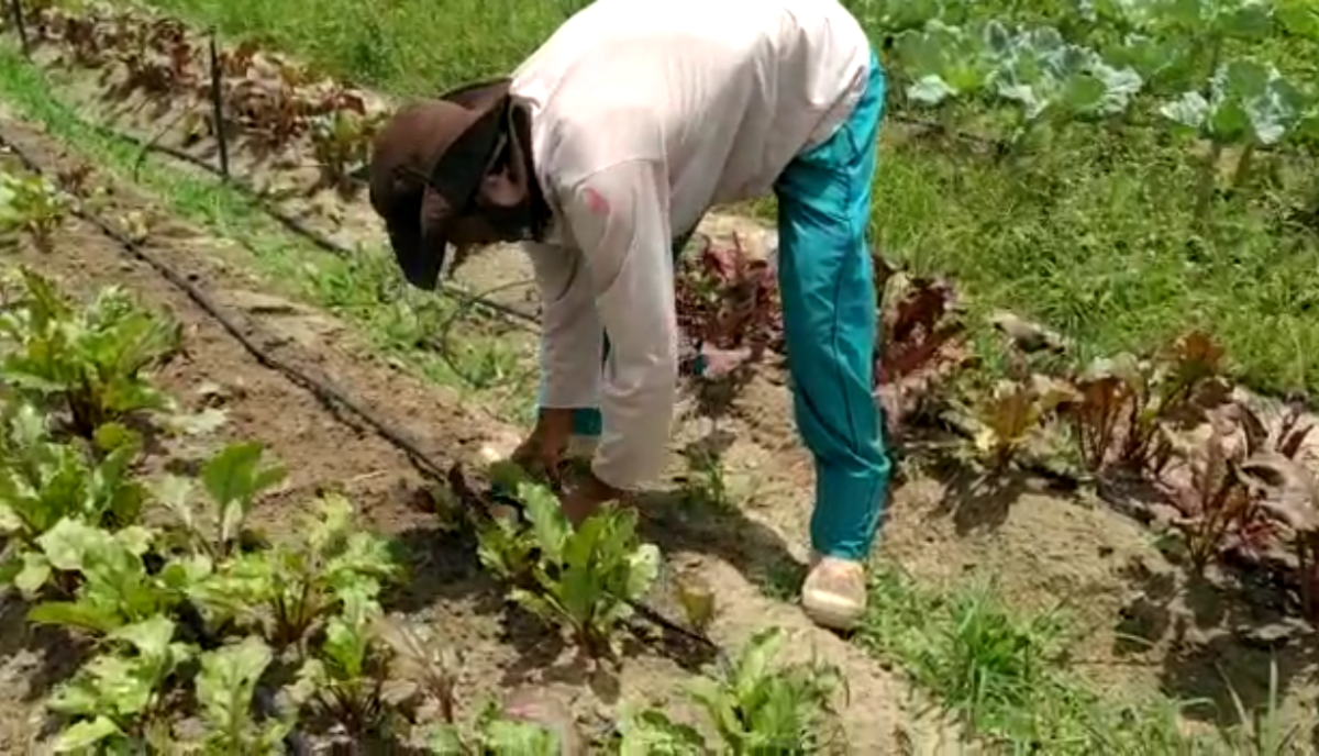 Emdagro alerta agricultores familiares para prorrogação da Declaração de Aptidão do Pronaf (Foto: Ascom Emdagro)