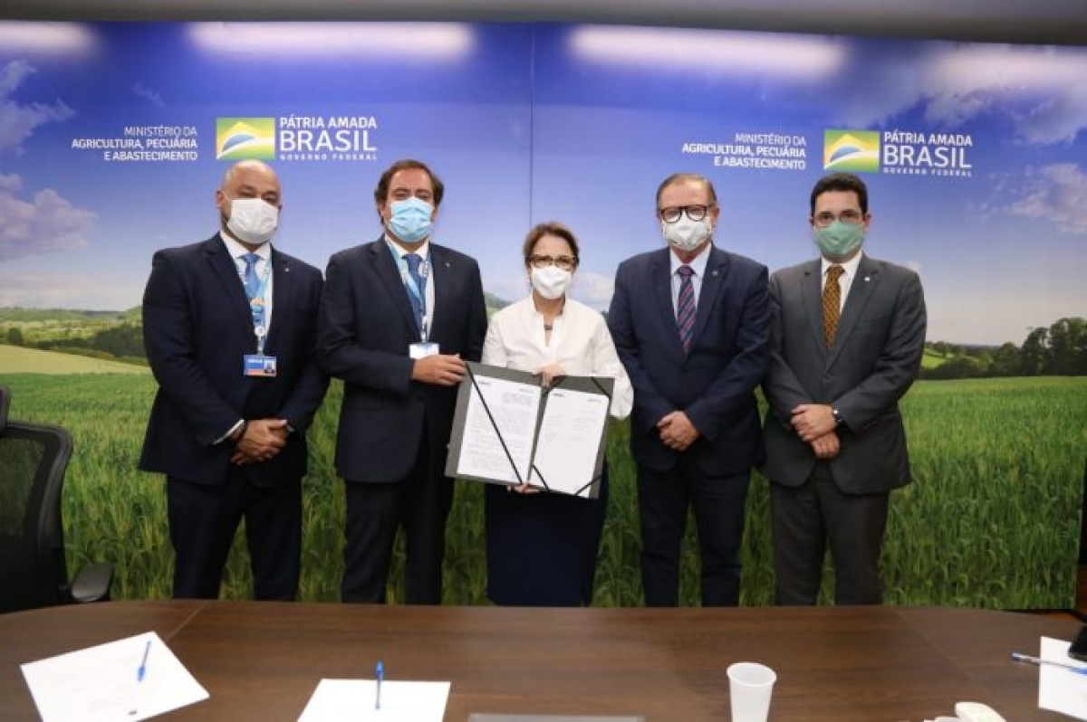 Caixa firma parceria com o Incra para ofertar crédito e educação financeira aos produtores rurais (Foto: Caixa Notícias)