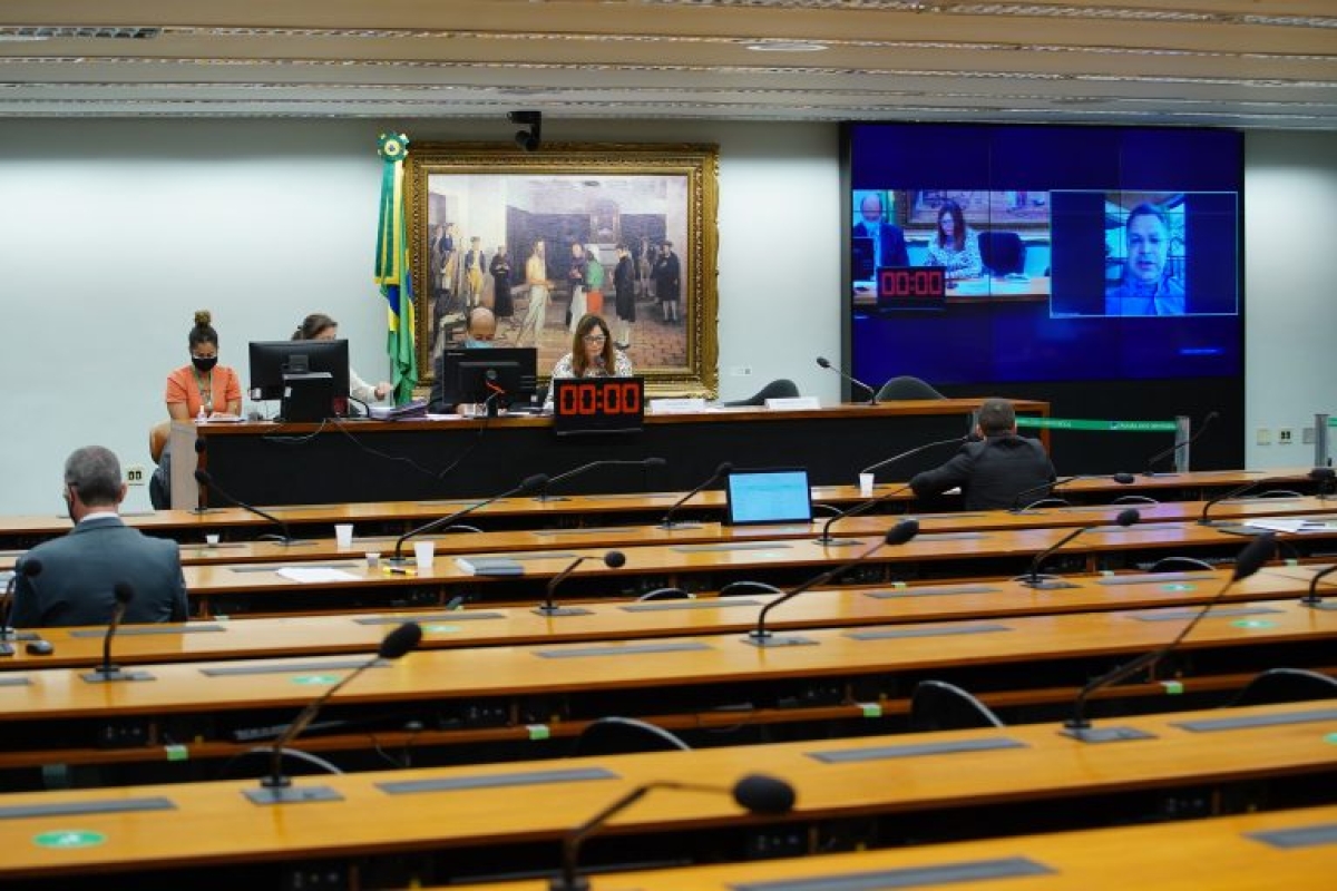 A CCJ rejeitou por maioria apertada o projeto de lei (Foto: Will Shutter/ Câmara dos Deputados)