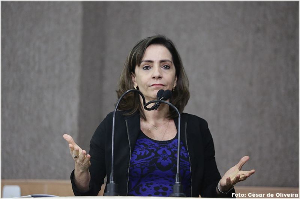 Emília Corrêa: "Pior que Fake News, é querer mudar o foco da votação" (Foto: Assessoria Emília Corrêa)