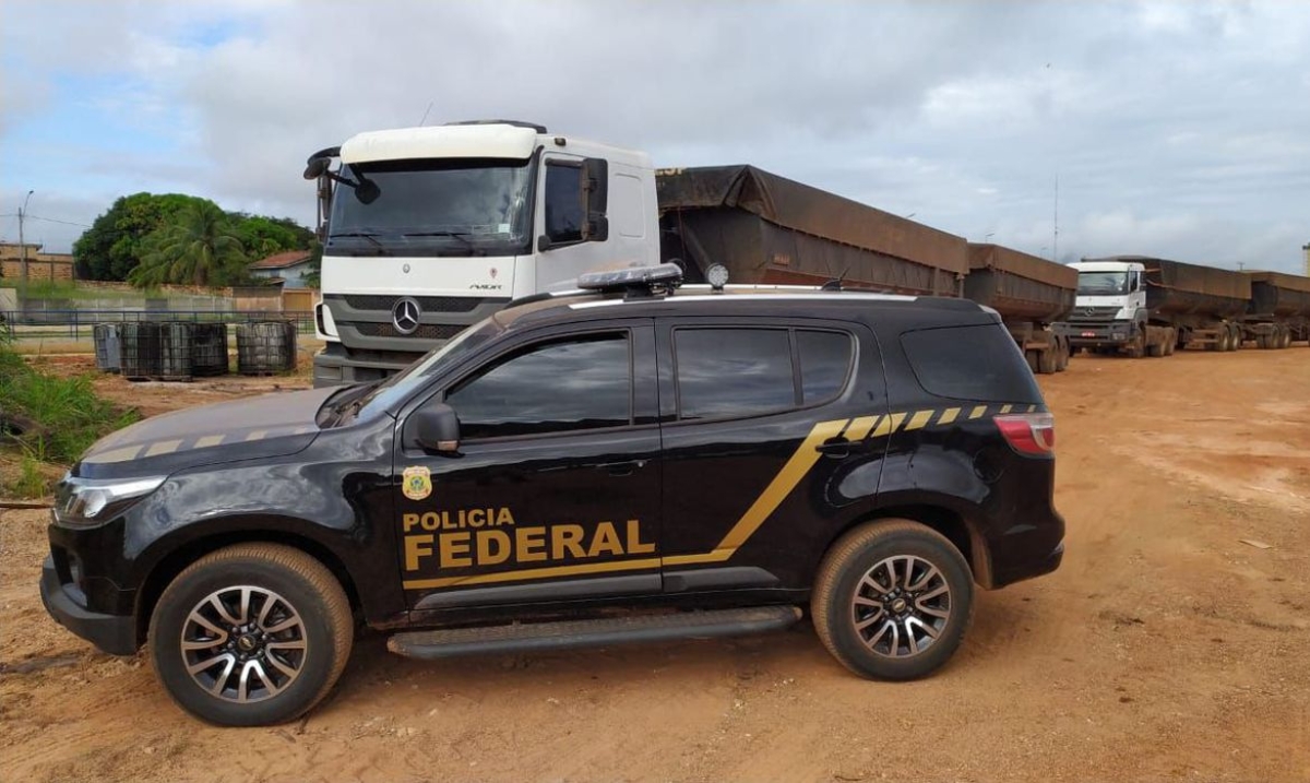 Polícia Federal apreende 100 toneladas de minério irregular no Pará (Foto: Polícia Federal)
