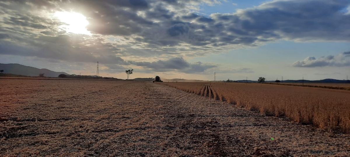 Sealba AgroShow: maior evento do agronegócio da região acontecerá em fevereiro de 2022 (Foto: Assessoria Senar/SE)
