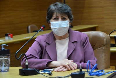 Maria Mendonça pede para que bancada sergipana seja contrária a PEC da Reforma Administrativa (Foto: Assessoria Maria Mendonça)