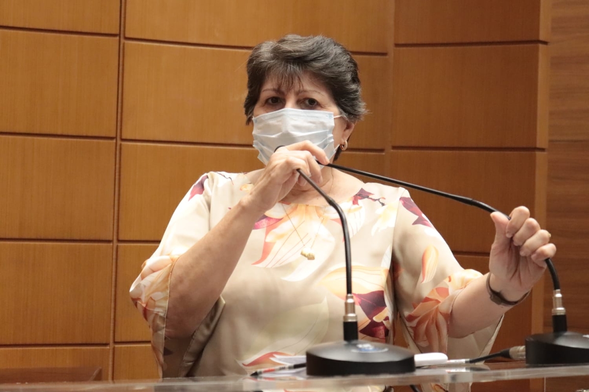 Maria Mendonça defende CNH Social para caminhoneiros (Foto: Assessoria Maria Mendonça)