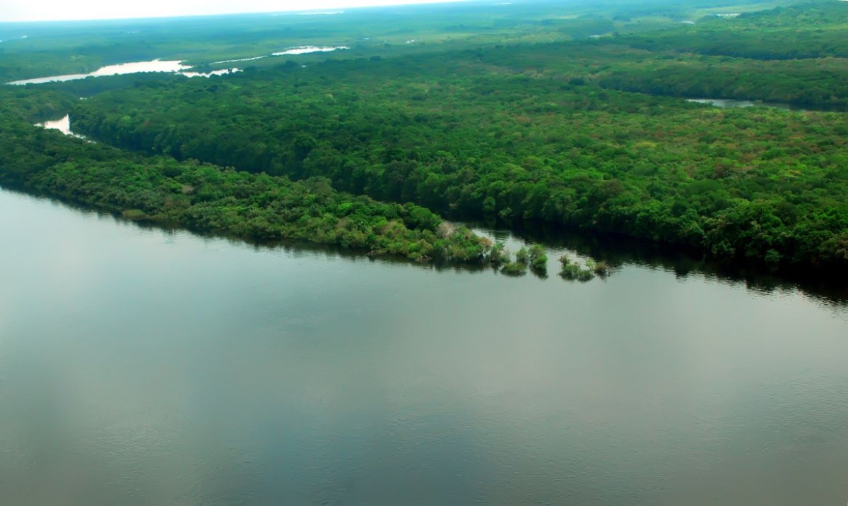 Força-Tarefa da Amazônia: AGU obtém bloqueio de R$ 18, 8 milhões em bens de desmatadores (Foto: Mario Oliveira/ MTUR)