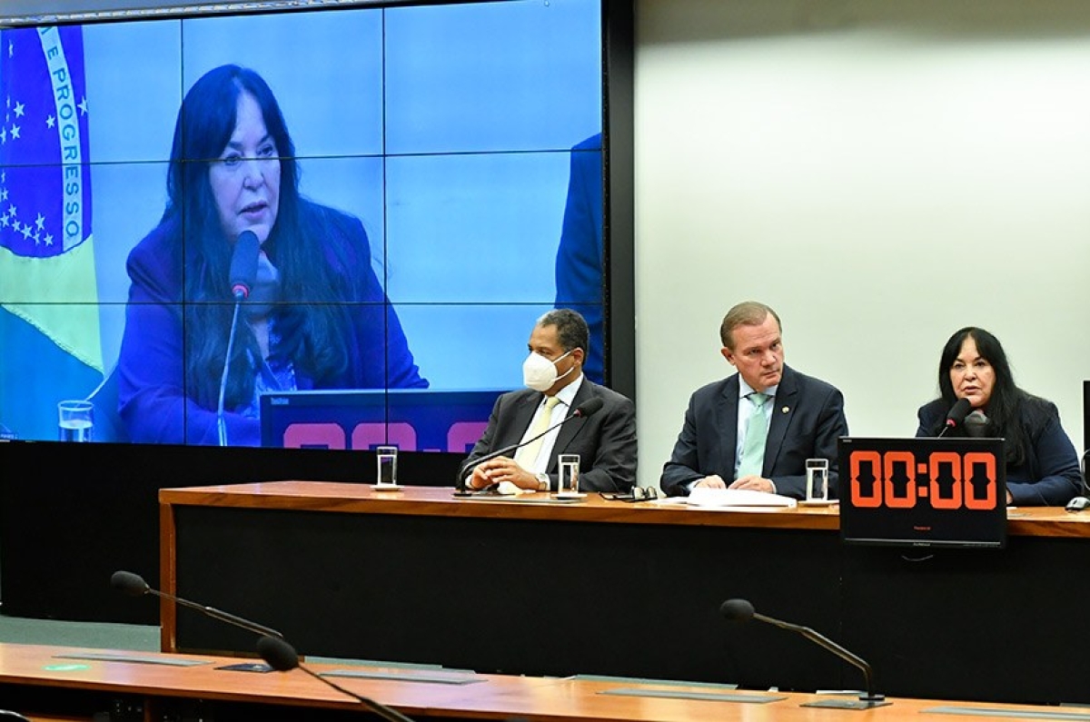 Rose anunciou adiamento para que parlamentares tenham mais tempo para avaliar relatório, apresentado nesta madrugada (Foto: Geraldo Magela/ Agência Senado)