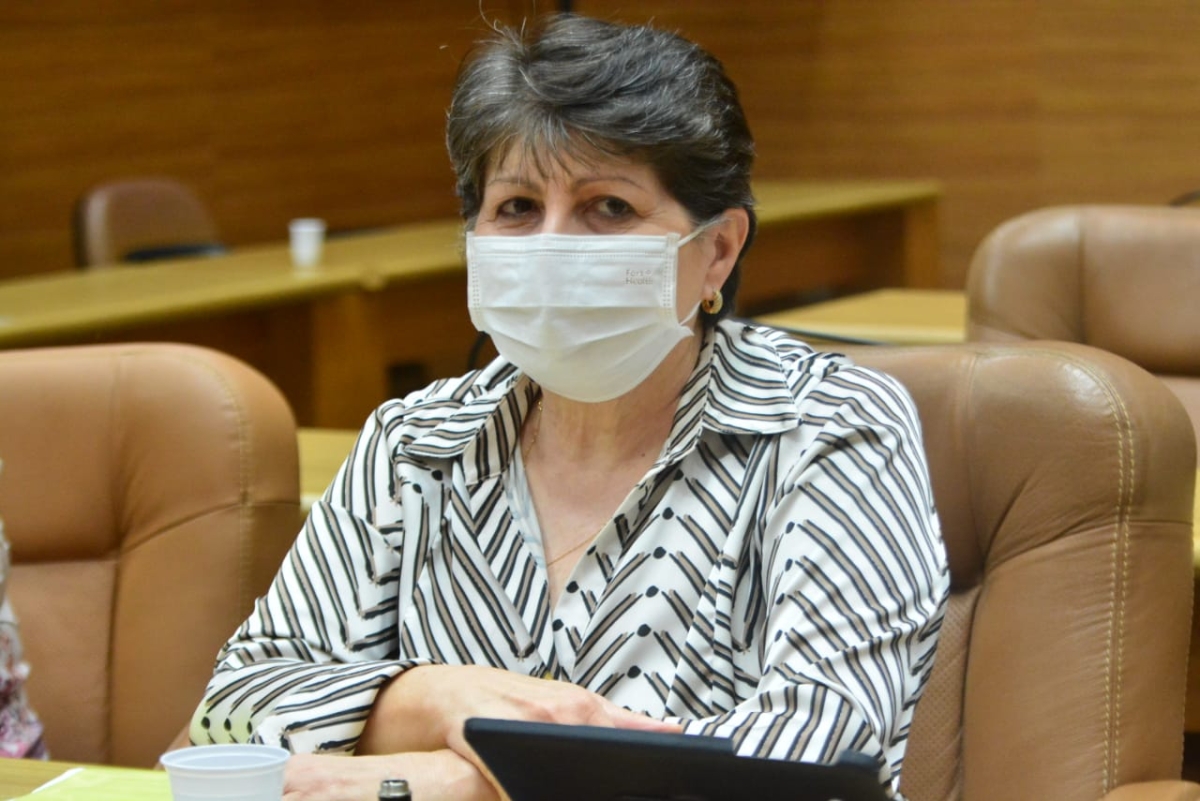 Deputada estadual Maria Mendonça (Foto: Assessoria Maria Mendonça)