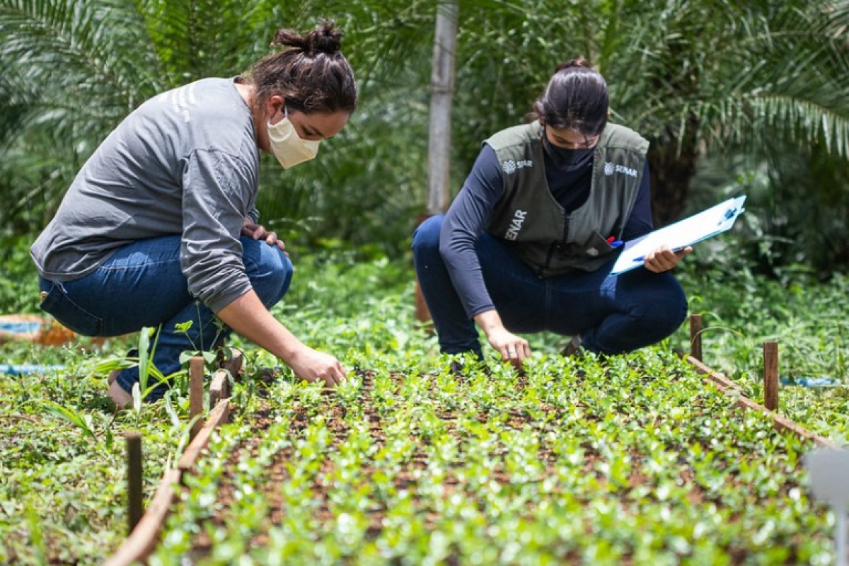 Senar Sergipe abre inscrições para cadastro reserva de Técnico de Campo (Foto: Senar/SE)