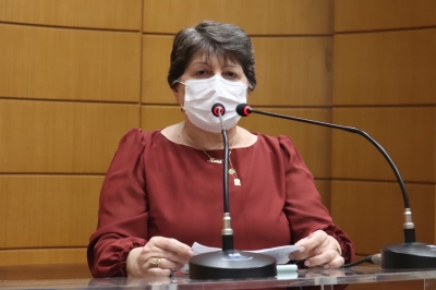 Maria Mendonçaa pede apoio de senadores para que votem a favor de Emenda a PL 2486/2021 (Foto: Assessoria Maria Mendonça)