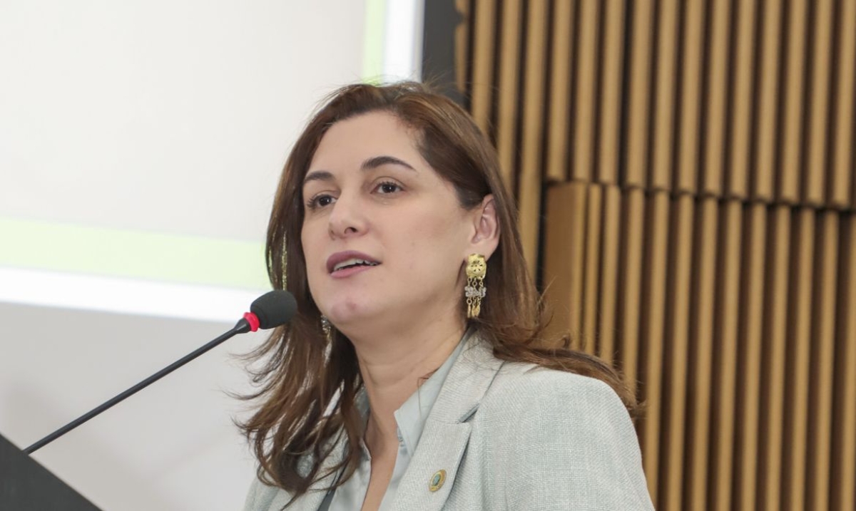 Cristiane Britto, ministra da Mulher, da Família e dos Direitos Humanos (Foto: Hilton Silva/ Ministério da Mulher, da Família e dos Direitos Humanos)
