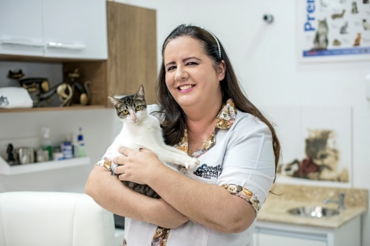 Campanha será realizada na Toca dos Gatos e contará com apoio da veterinária Candice Garcia - Foto: Divulgação