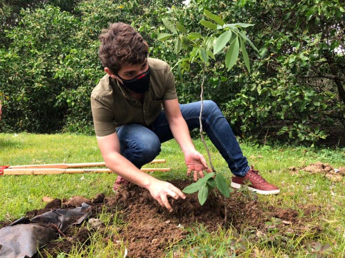 "Bora pensar verde?": Semana do Meio Ambiente acontece em Aracaju com diversas atividades - Foto: Assessoria Breno Garibalde