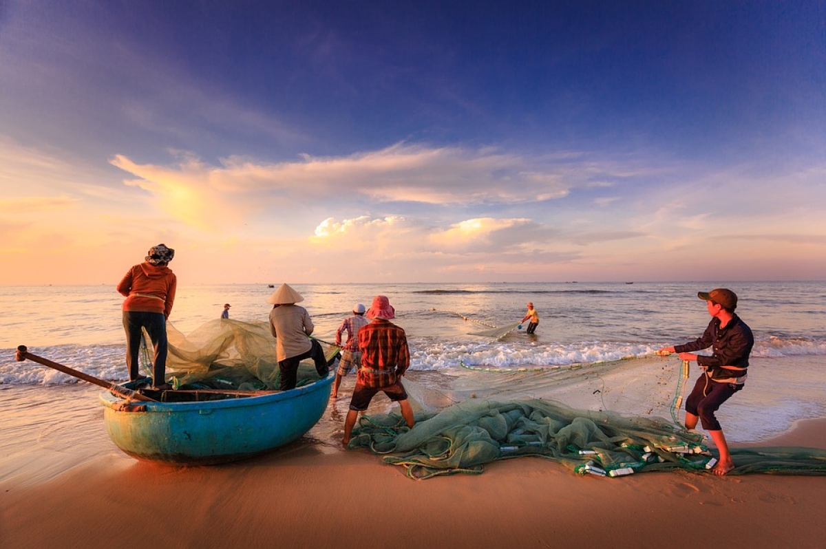 Mais de 12 mil licenças de pescadores profissionais são suspensas - Foto ilustrativa: Pixabay