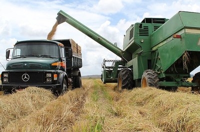 Produtores titulares de lotes em projetos de irrigação da Codevasf podem liquidar ou renegociar dívidas até dezembro de 2022 - Foto: Codevasf