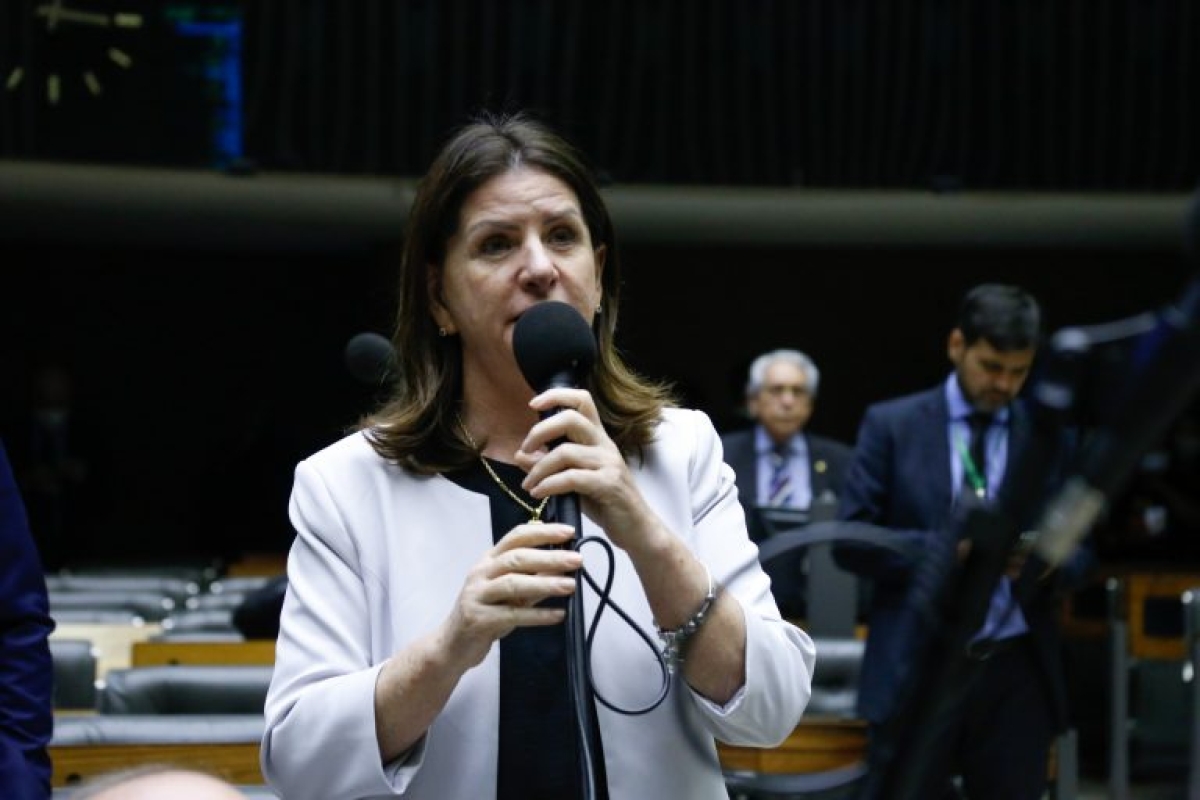 Carmen Zanotto, relatora da proposta - Foto: Elaine Menke | Câmara do Deputados