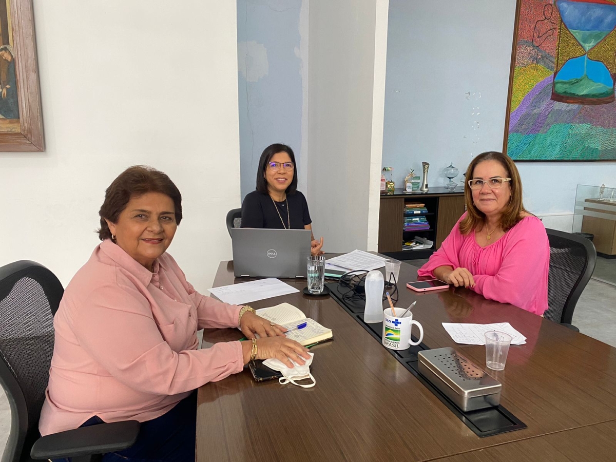 Comissão da Saúde da Alese é informada pela SES que não existe suspensão de contratos com Hospital Santa Isabel - Foto: Assessoria Goretti Reis