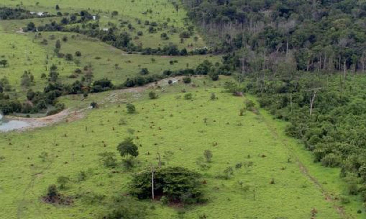 Proprietário rural pode emitir Certificado de Cadastro de Imóvel - Foto de arquivo: MMA