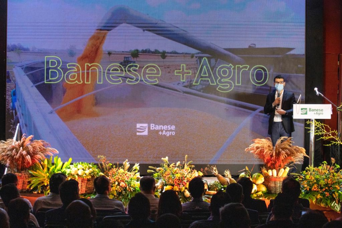 Banese bate recorde em crédito rural entre 2021-2022 - Foto: Ascom Banese