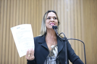 "�? uma vergonha essa passarela de milhões", afirma Sheyla sobre ligação na Zona Norte - Foto: Agência Câmara