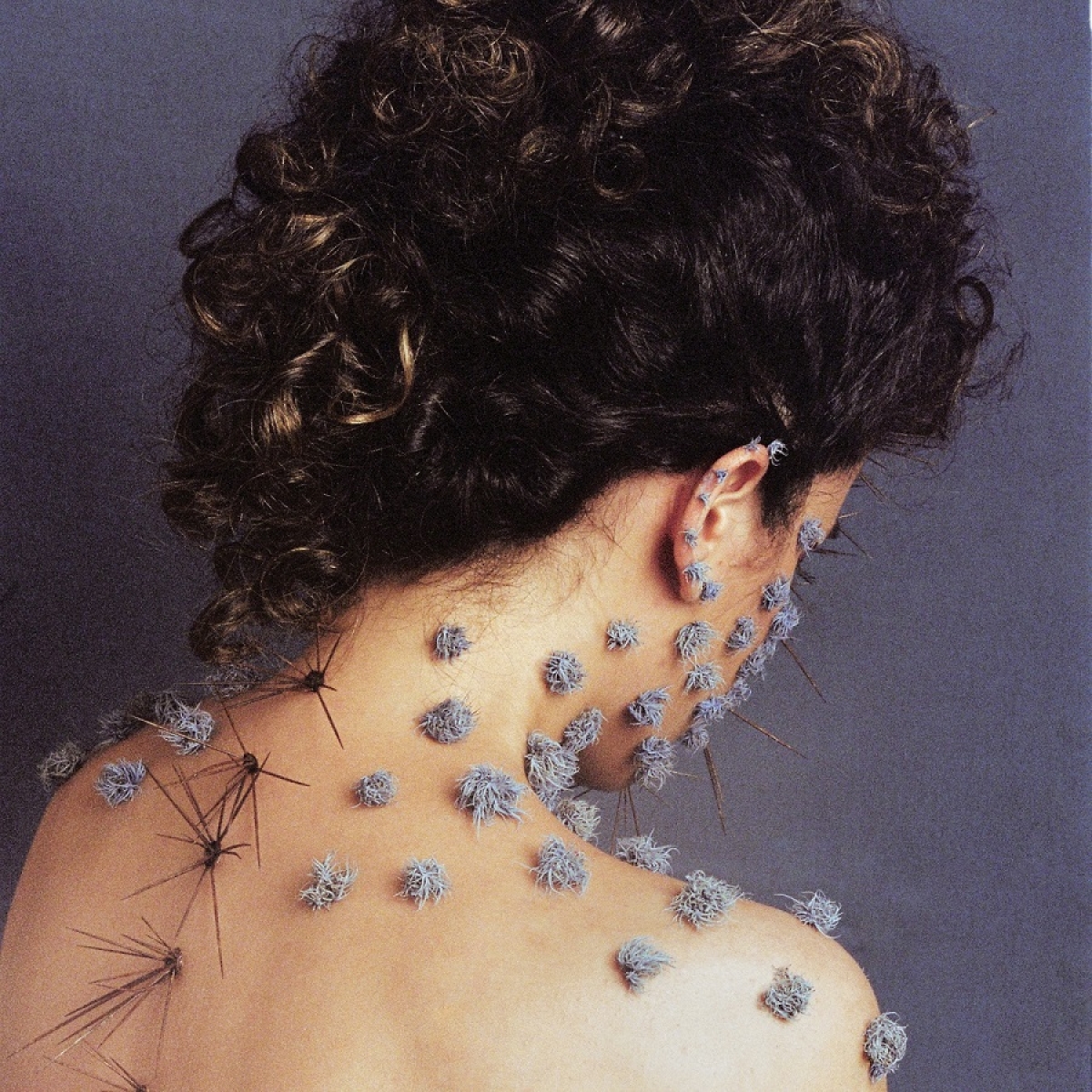 Fotografia de Elisa Maciel e direção de arte de Clara Acioli