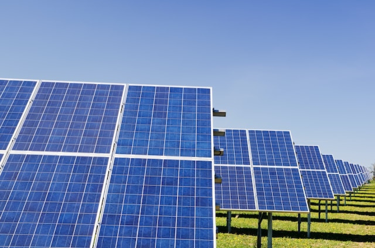 Energia renovável aquece mercado de trabalho para engenheiros eletricistas - Foto: Unsplash