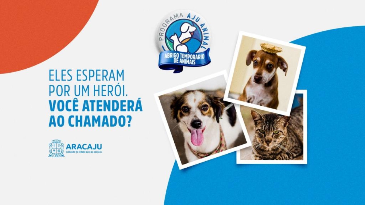 Prefeitura promove campanha de incentivo a abrigo temporário de cães e gatos em Aracaju - Arte: Secom | PMA