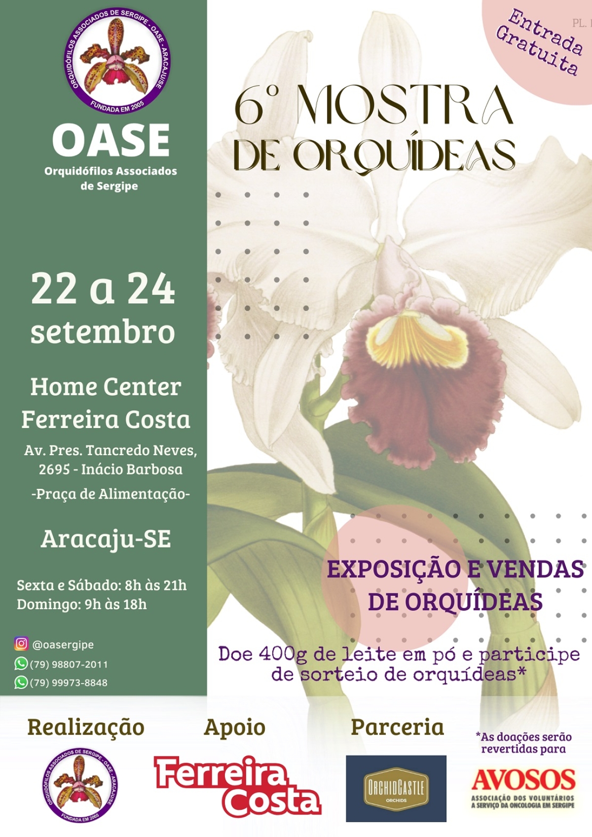 6º Mostra de Orquídeas - Imagem: Divulgação