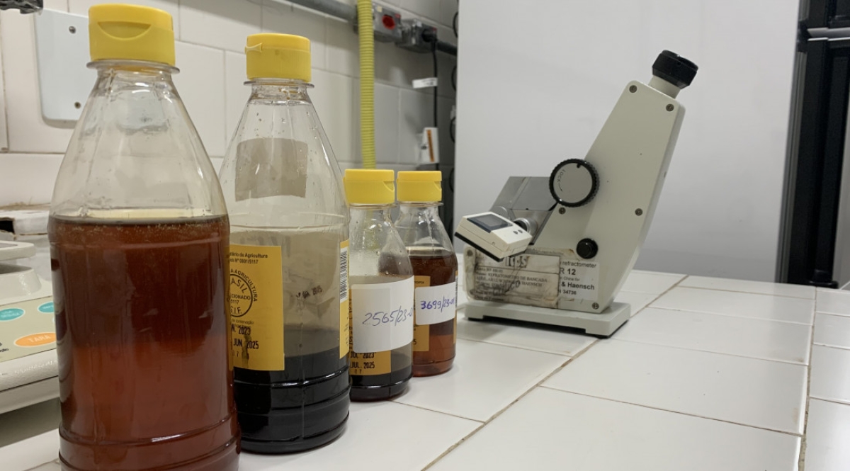 ITPS alerta para riscos da ingestão de mel contaminado - Foto: Gabriel Ribeiro | Governo de Sergipe