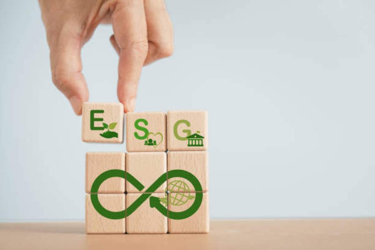 Principais tendências ESG para 2024 - Foto: Assessoria Morcone Consultoria Empresarial