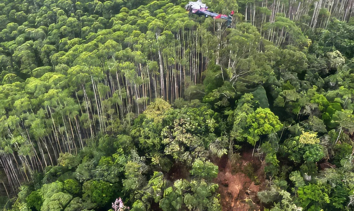 Polícia Militar encontra helicóptero que estava desaparcido em São Paulo desde 31 de dezembro - Foto: PMESP