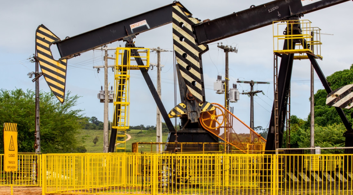A expansão das exportações em relação ao ano anterior foi desencadeada, principalmente, pela
inclusão dos óleos brutos de petróleo na cesta de produtos vendidos pelo estado em 2023 - Foto:
Arthuro Paganini | Governo de Sergipe