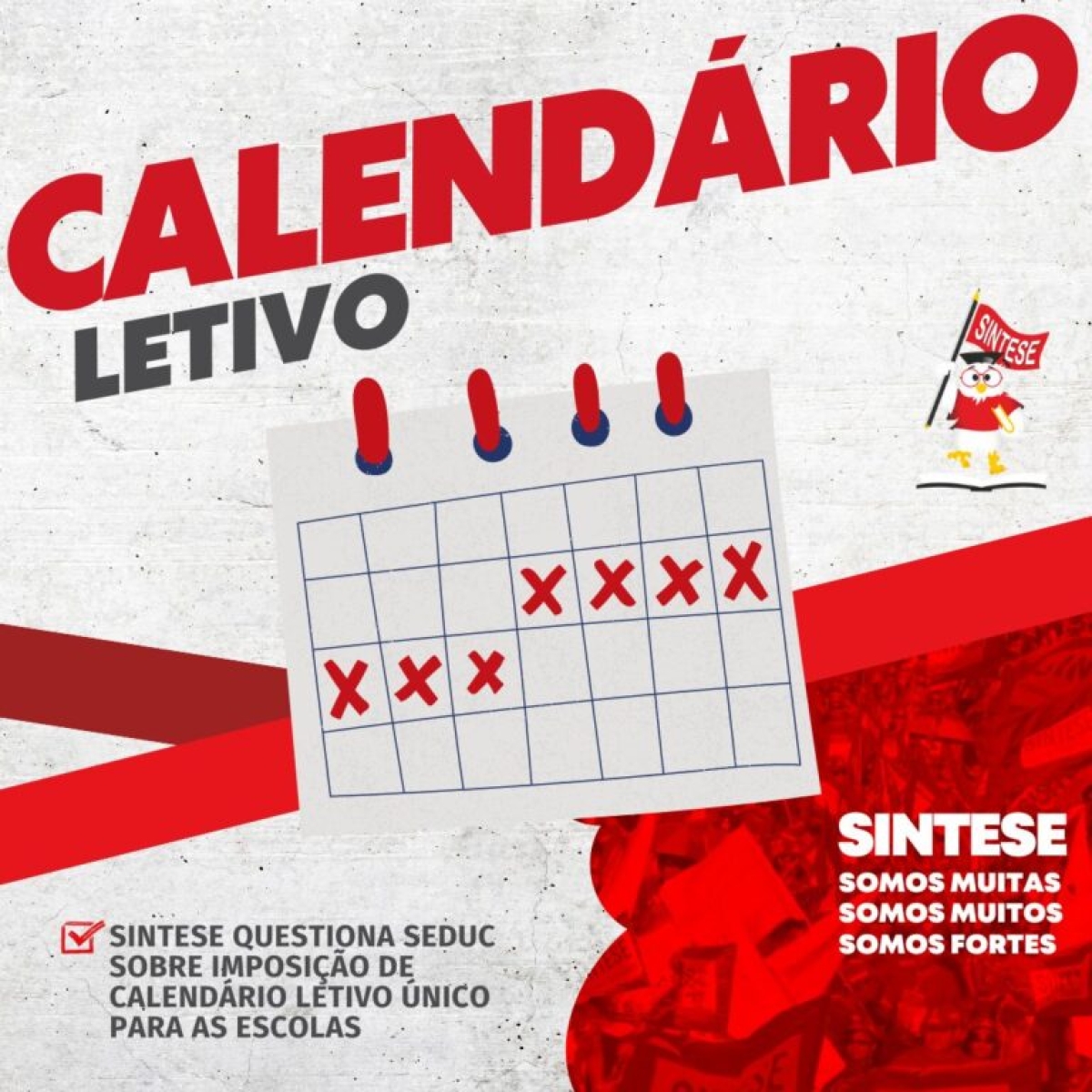 SINTESE questiona Seduc sobre imposição de calendário letivo único para as escolas - Imagem: Sintese