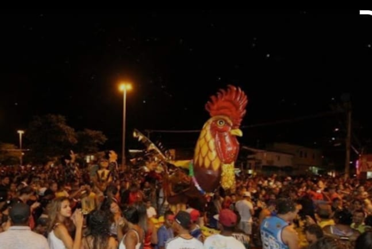 Galo do Augusto Franco: 15 anos de tradição e alegria para toda família - Foto: Assessoria