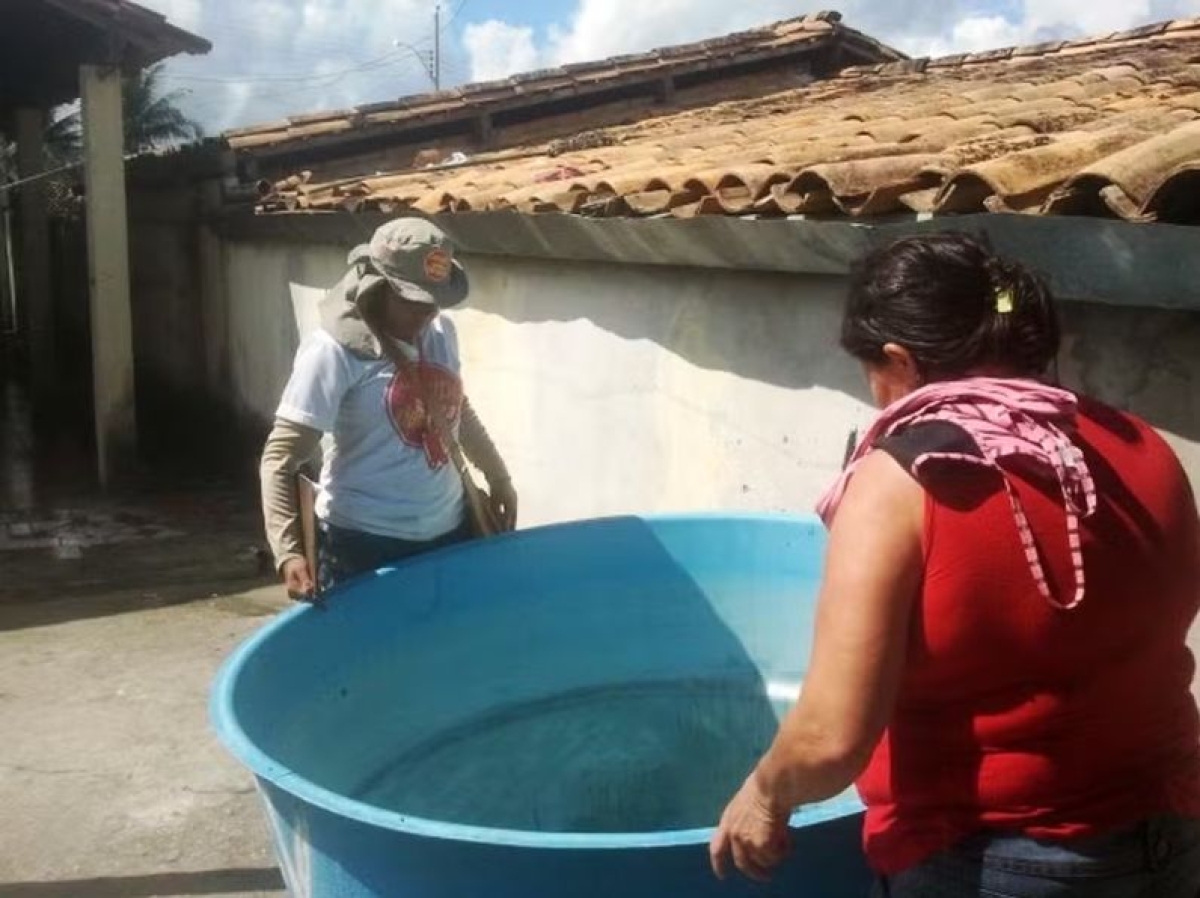 Agente verifica se há foco do mosquito transmissor da dengue - Foto de arquivo: Divulgação | SES Sergipe