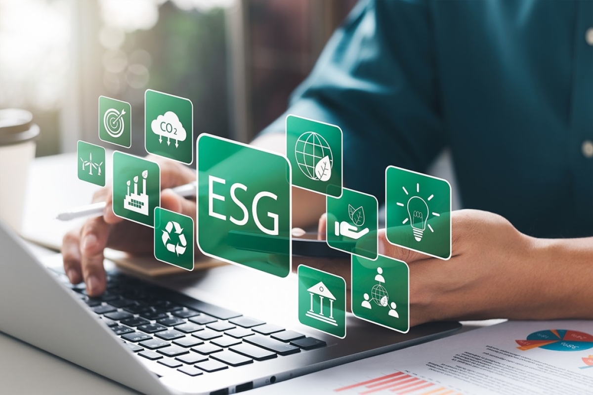 ESG por si só não é o suficiente: Importância de uma estratégia empresarial assertiva - Foto: Assessoria Morcone Consultoria Empresarial