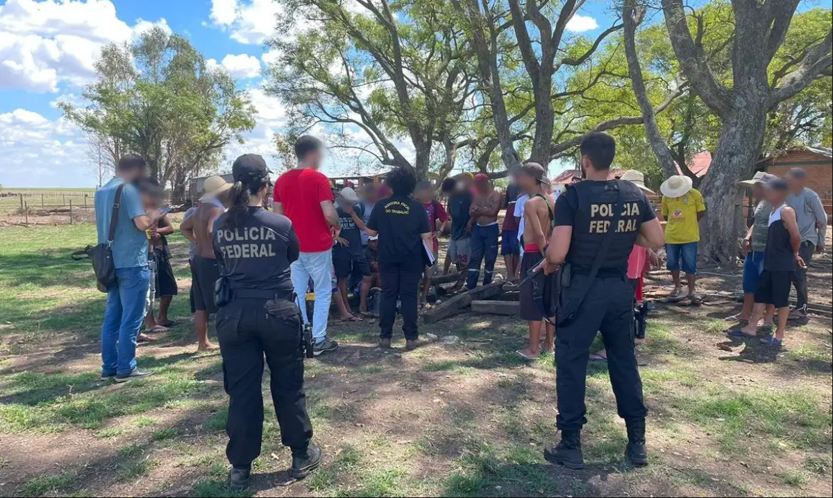 Operações de combate ao trabalho análogo à escravidão envolvem auditores fiscais e órgãos como a Polícia Federal: prática é crime previsto no Código Penal - Foto: Divulgação | Comunicação PF | Via Agência Brasil
