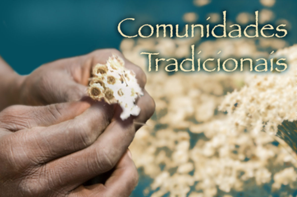 MPF busca compensação para comunidades tradicionais de Sergipe afetadas por inundações de 2022 e 2023 - Foto: Comunicação MPF
