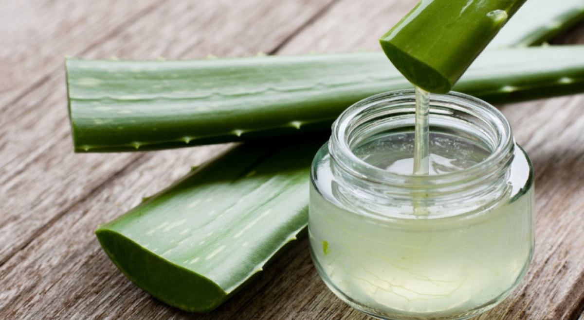 Confira receita de suco de babosa com limão que ajuda a perder peso rapidamente - Foto: Reprodução/ iStock
