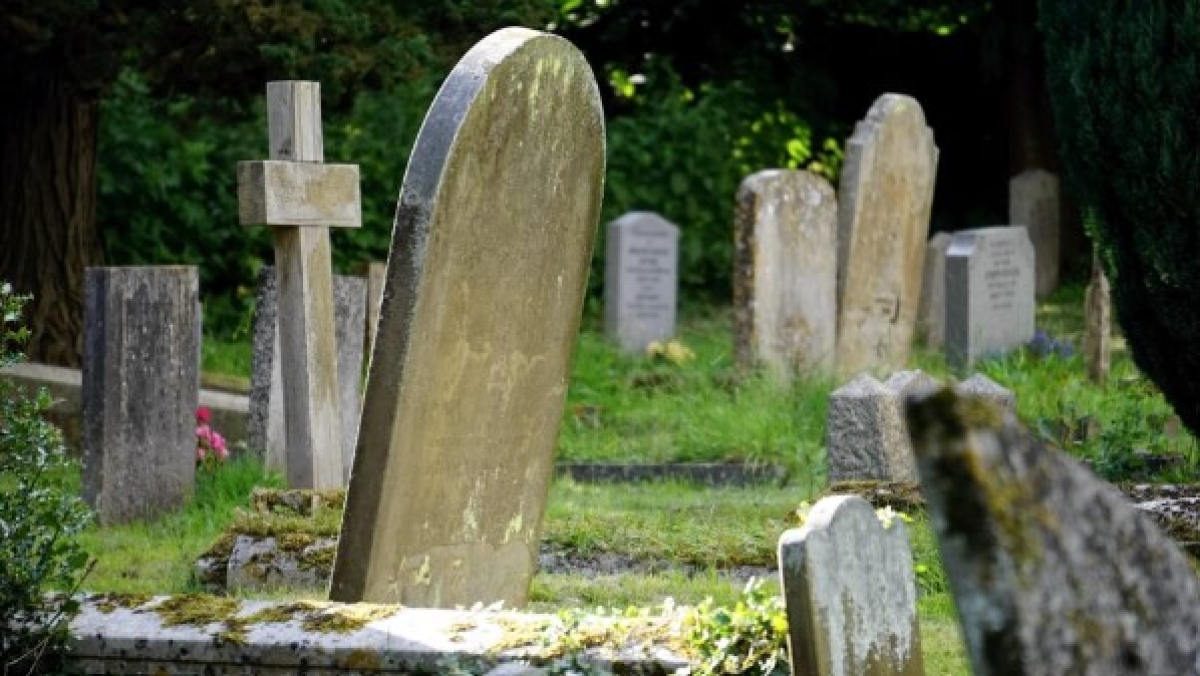 Tributação de serviços funerários pode subir 206%; web critica (Imagem ilustrativa) - Foto: Pexels/Mike Bird
