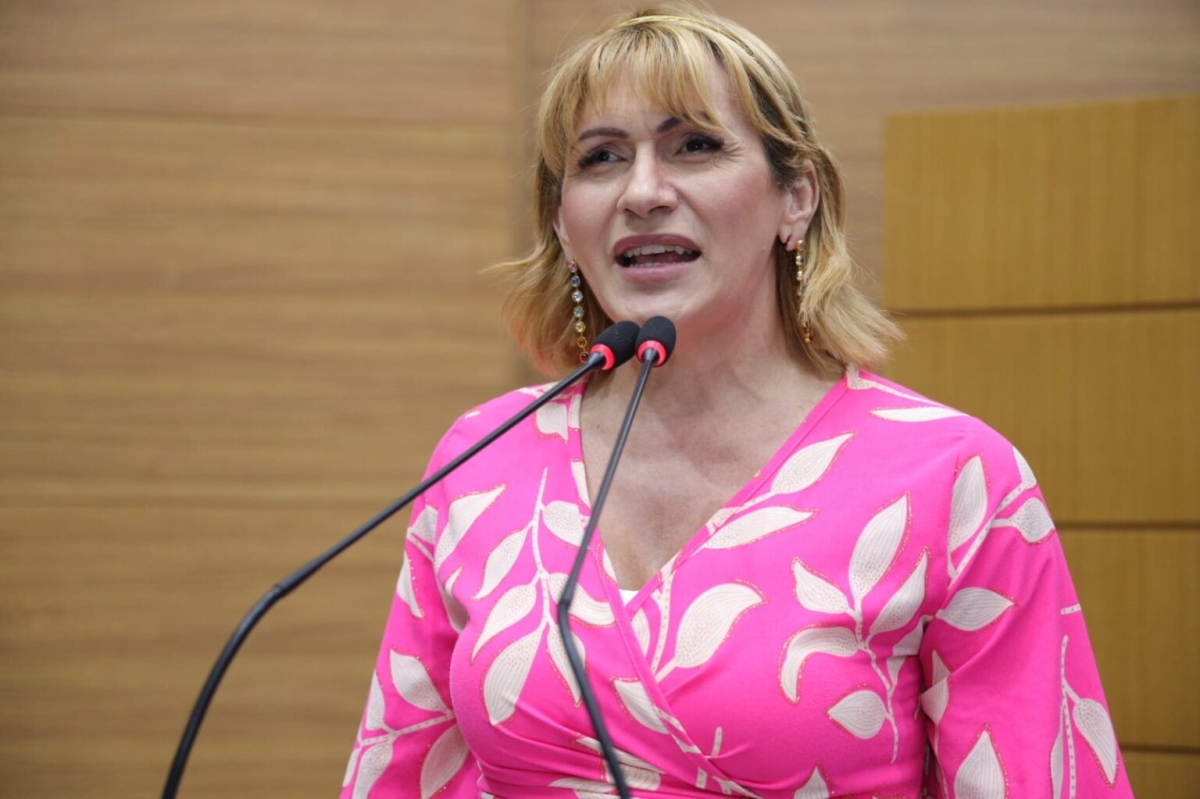 Deputada Linda Brasil  - Foto: Jadilson Simões/Agência de Notícias Alese
