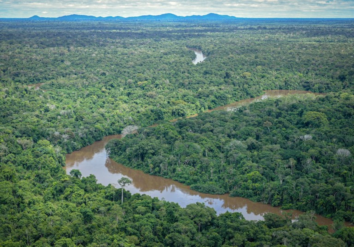 Ibama combate desmatamento ilegal na Terra Indígena Pirititi, Roraima. Foto: Ibama 