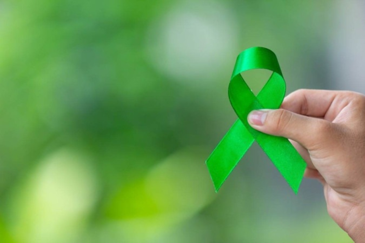 "Setembro Verde" busca conscientizar sobre doação de órgãos - Foto: Divulgação/Alese

