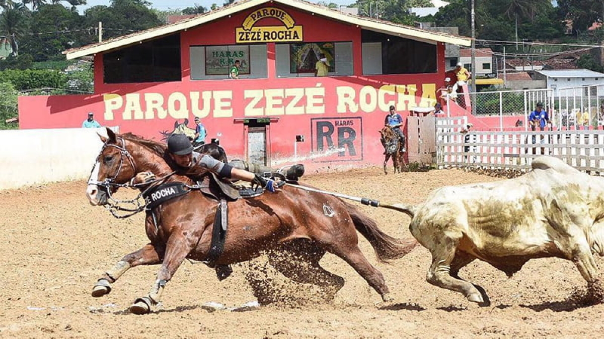 Prática da vaquejada e da pega de boi continua presente em Sergipe - Foto: Divulgação Exporingo
