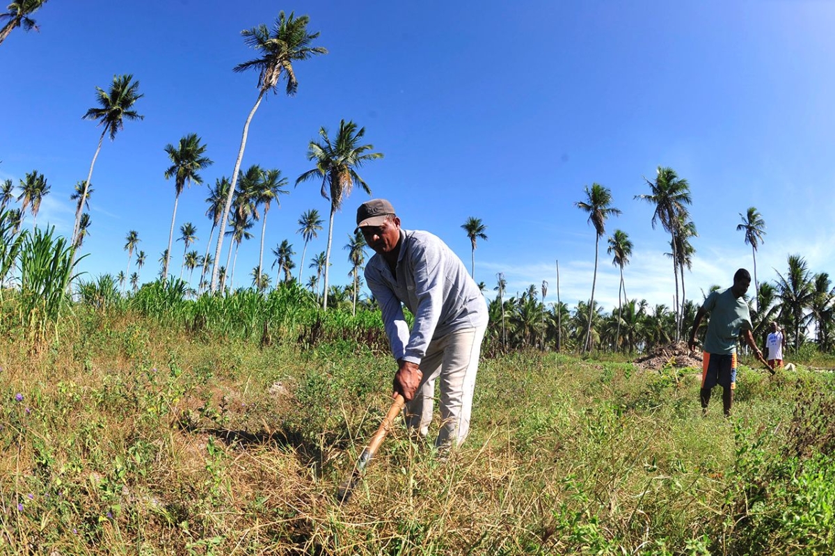 Plano Safra contempla produtor rural sergipano com R$ 219 milh�es (Foto: Arquivo ASN)